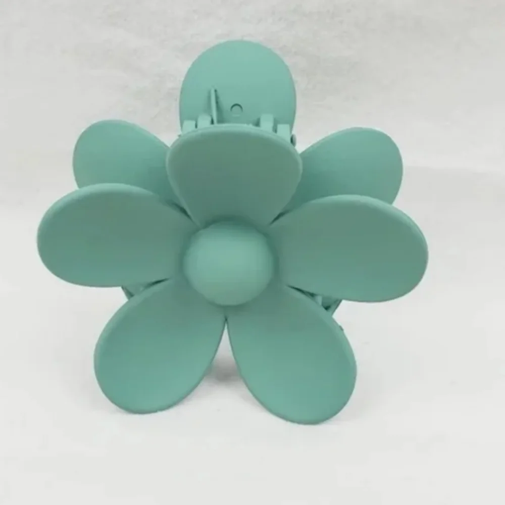 Claw Clip Hair Accessories